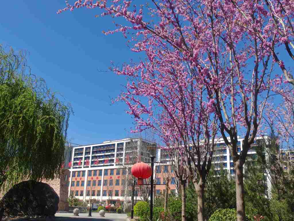 微信图片_20250402134914.jpg