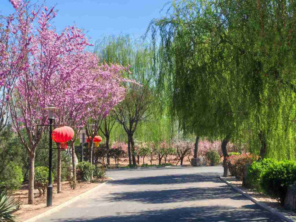 微信图片_20250402134909.jpg